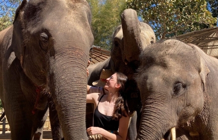 J’ai également eu la chance de pouvoir interagir avec des éléphants dans une clinique spécialisée