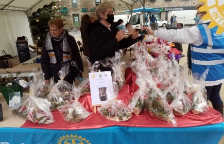 Vente de Centre de table pour Noël et des Roses de Bretagne devant l'église de ploubalay en faveur de Maïwenn.